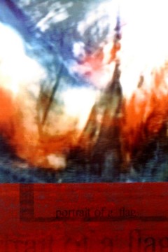 portrait of a flag