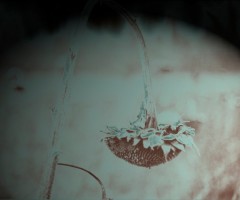 grosse-verherrlichung